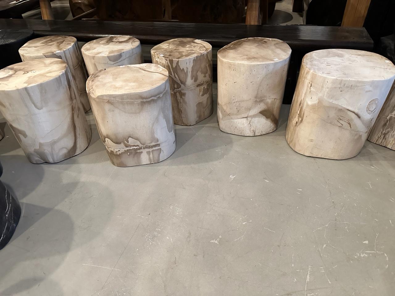 Andrianna Shamaris Large High Quality Petrified Wood Side Table 2