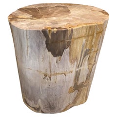 Andrianna Shamaris Large High Quality Petrified Wood Side Table