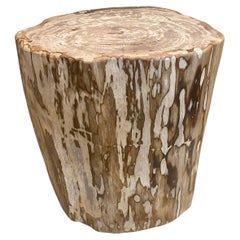 Andrianna Shamaris Large Impressive High Quality Petrified Wood Side Table