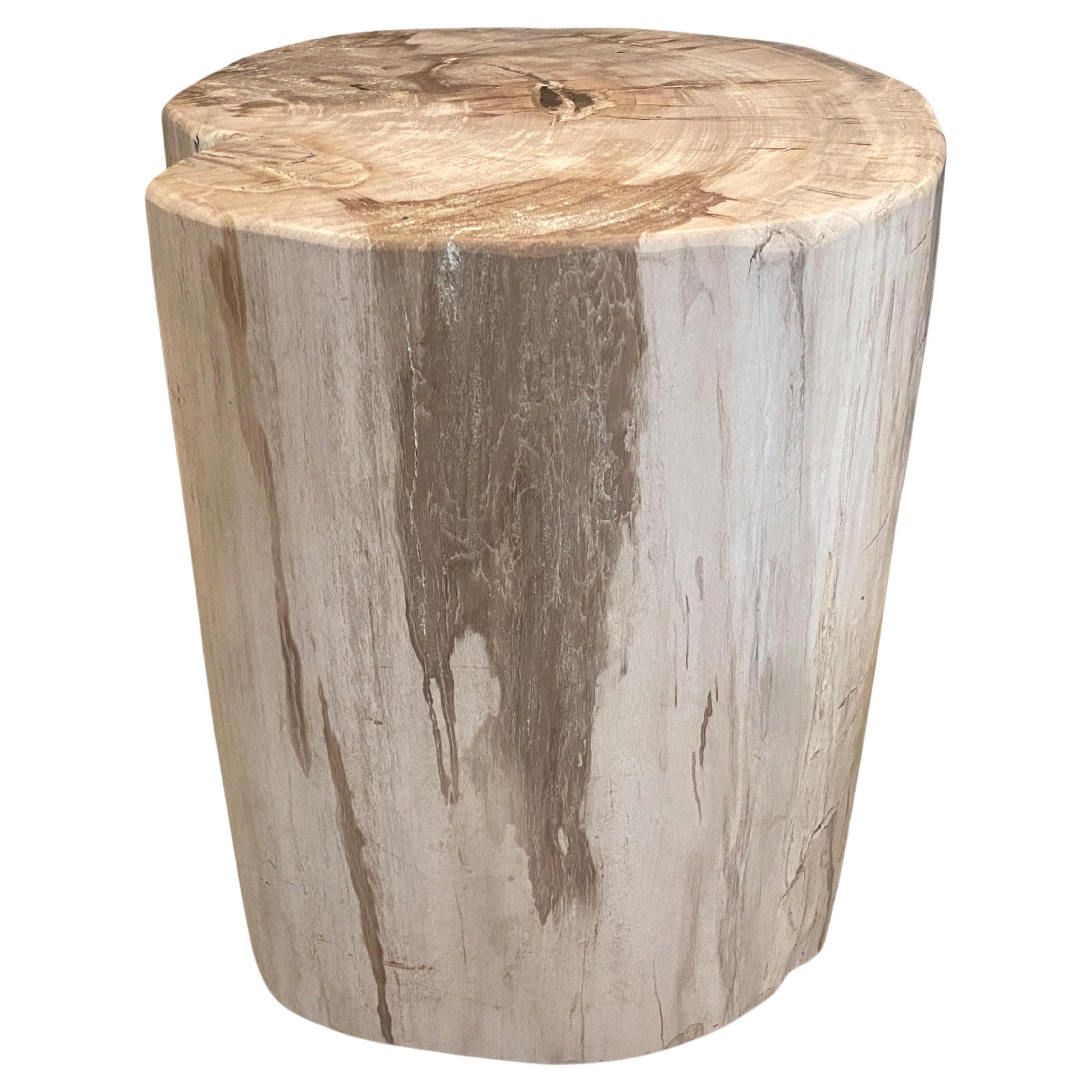 Andrianna Shamaris Large Minimalist High Quality Petrified Wood Side Table