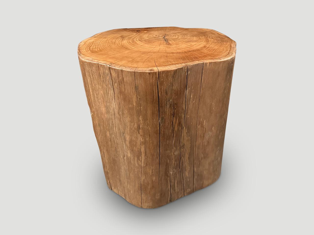 Organic Modern Andrianna Shamaris Large Natural Teak Wood Side Table For Sale