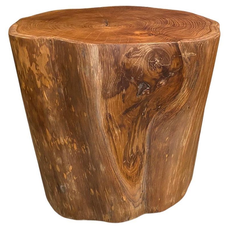 Andrianna Shamaris Large Natural Teak Side Table For Sale at 1stDibs