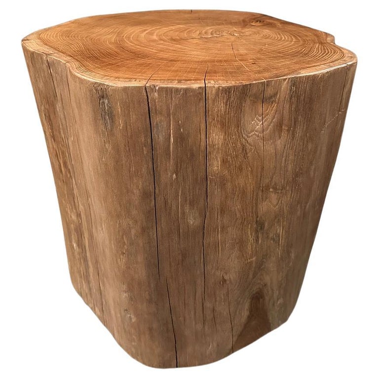 Andrianna Shamaris Large Natural Teak Wood Side Table For Sale at 1stDibs