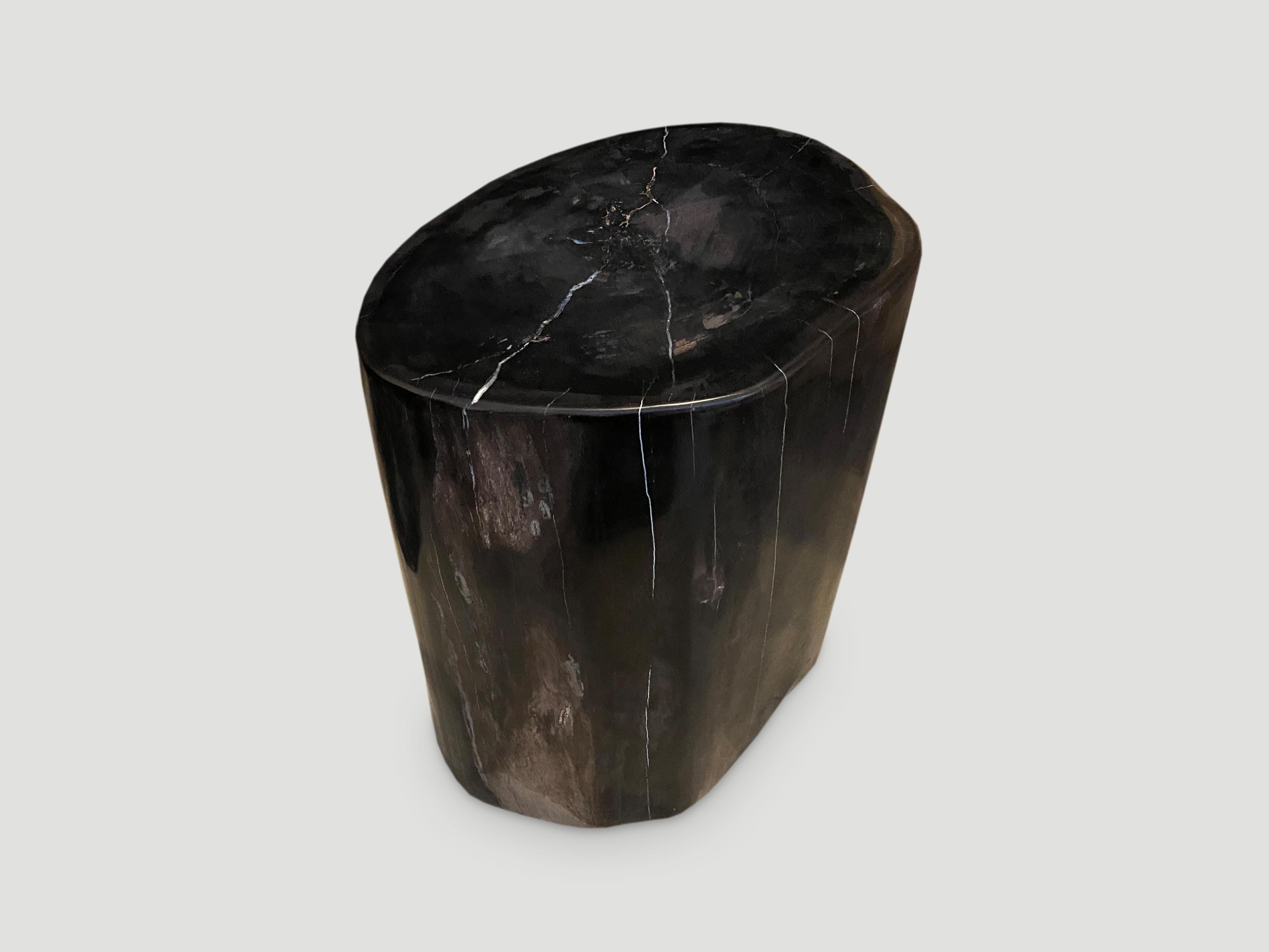 Andrianna Shamaris Large Oval Super Smooth Petrified Wood Side Table In Excellent Condition In New York, NY