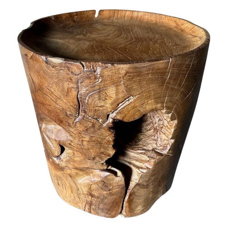 Andrianna Shamaris Large Sculptural Teak Wood Tray Side Table For Sale
