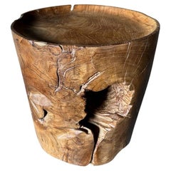 Andrianna Shamaris Large Sculptural Teak Wood Tray Side Table