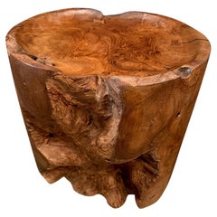 Tavolino scultoreo Andrianna Shamaris in legno di teak di grandi dimensioni