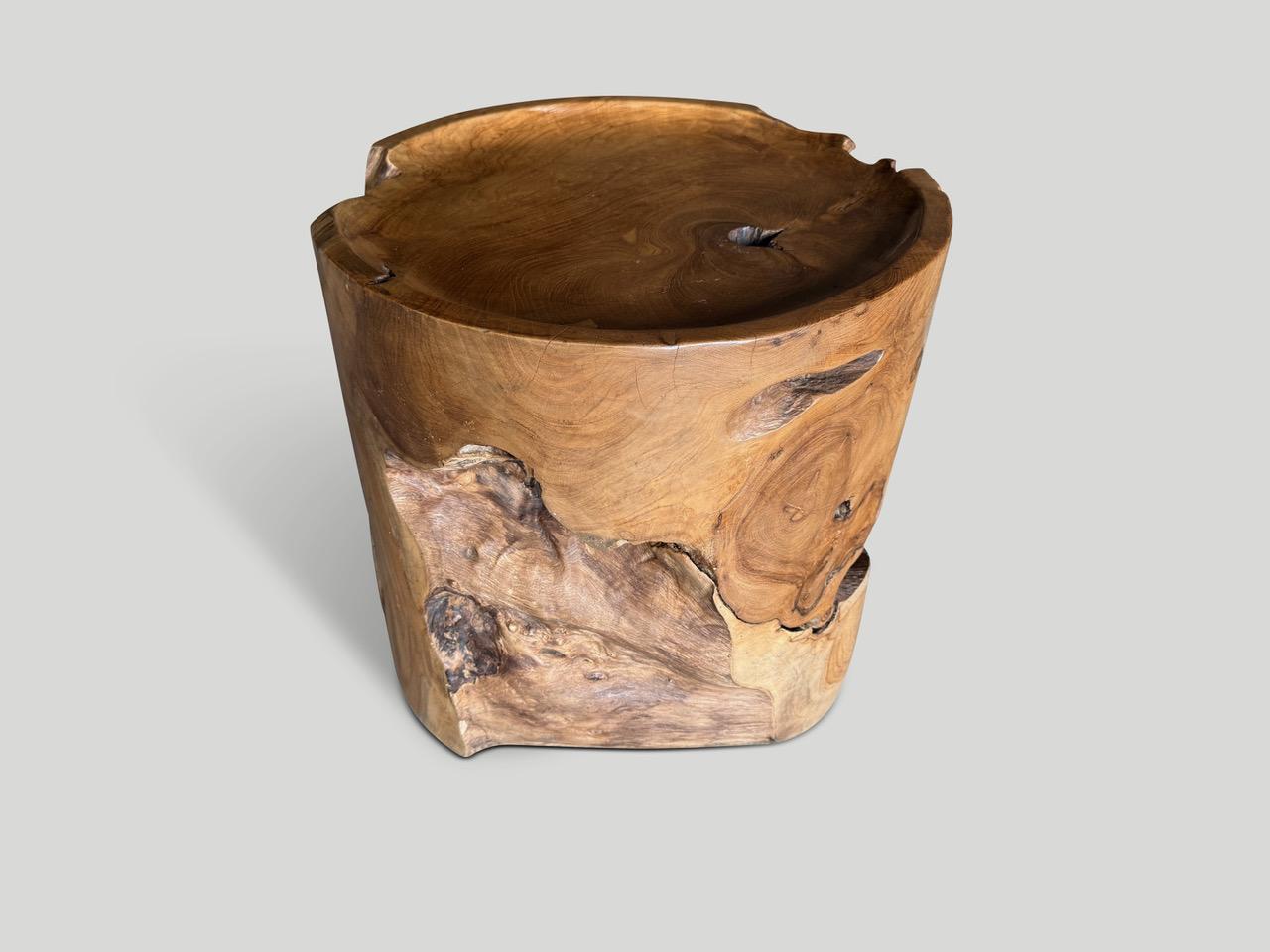 Organico moderno Tavolino scultoreo in stile vassoio in Wood Wood di Andrianna Shamaris in vendita
