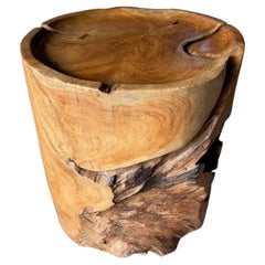 Andrianna Shamaris Large Sculptural Teak Wood Tray Style Side Table