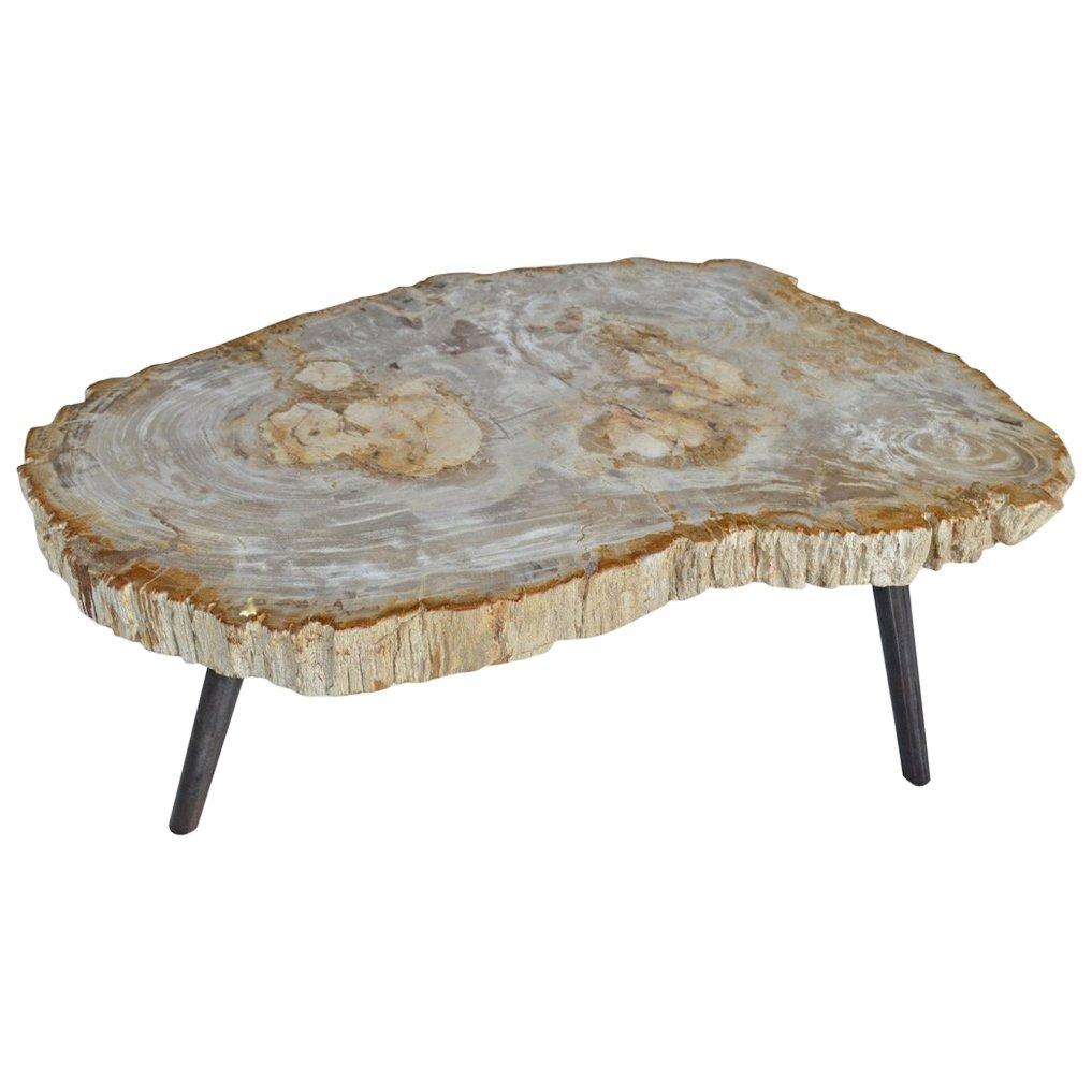 Impressive light toned single petrified wood slab coffee table with antiqued steel legs. We have a collection of four all cut from the same log.

We source the highest quality petrified wood available. Each piece is hand selected and highly