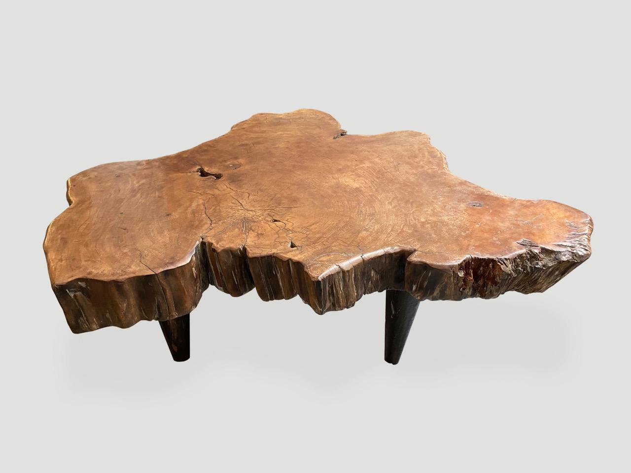 Reclaimed three inch thick lychee wood coffee table with a natural oil finish. Floating on midcentury style cone legs. Organic with a twist.

Own an Andrianna Shamaris original.

Andrianna Shamaris. The Leader In Modern Organic Design.