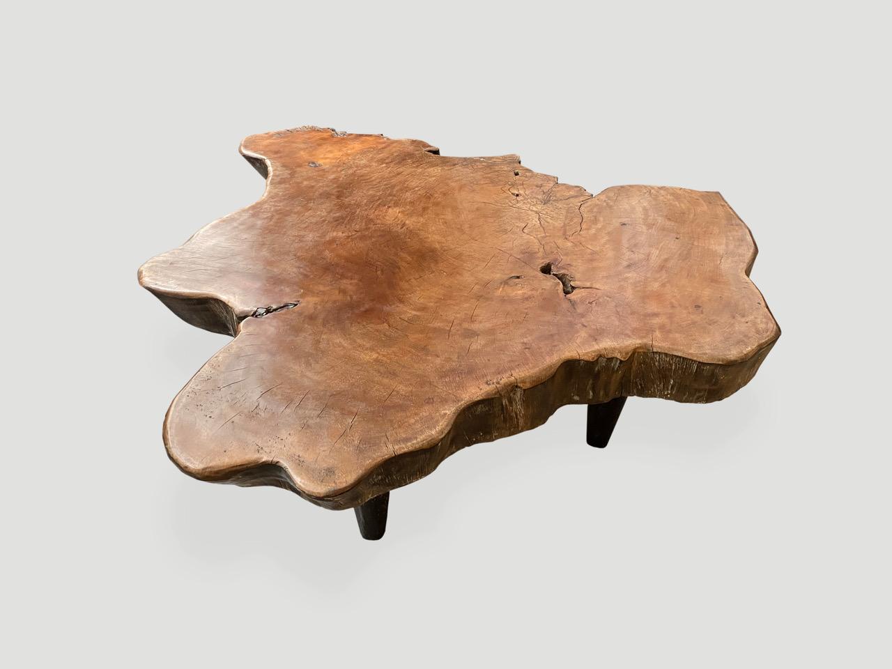 Andrianna Shamaris Live Edge Lychee Wood Coffee Table In Excellent Condition In New York, NY