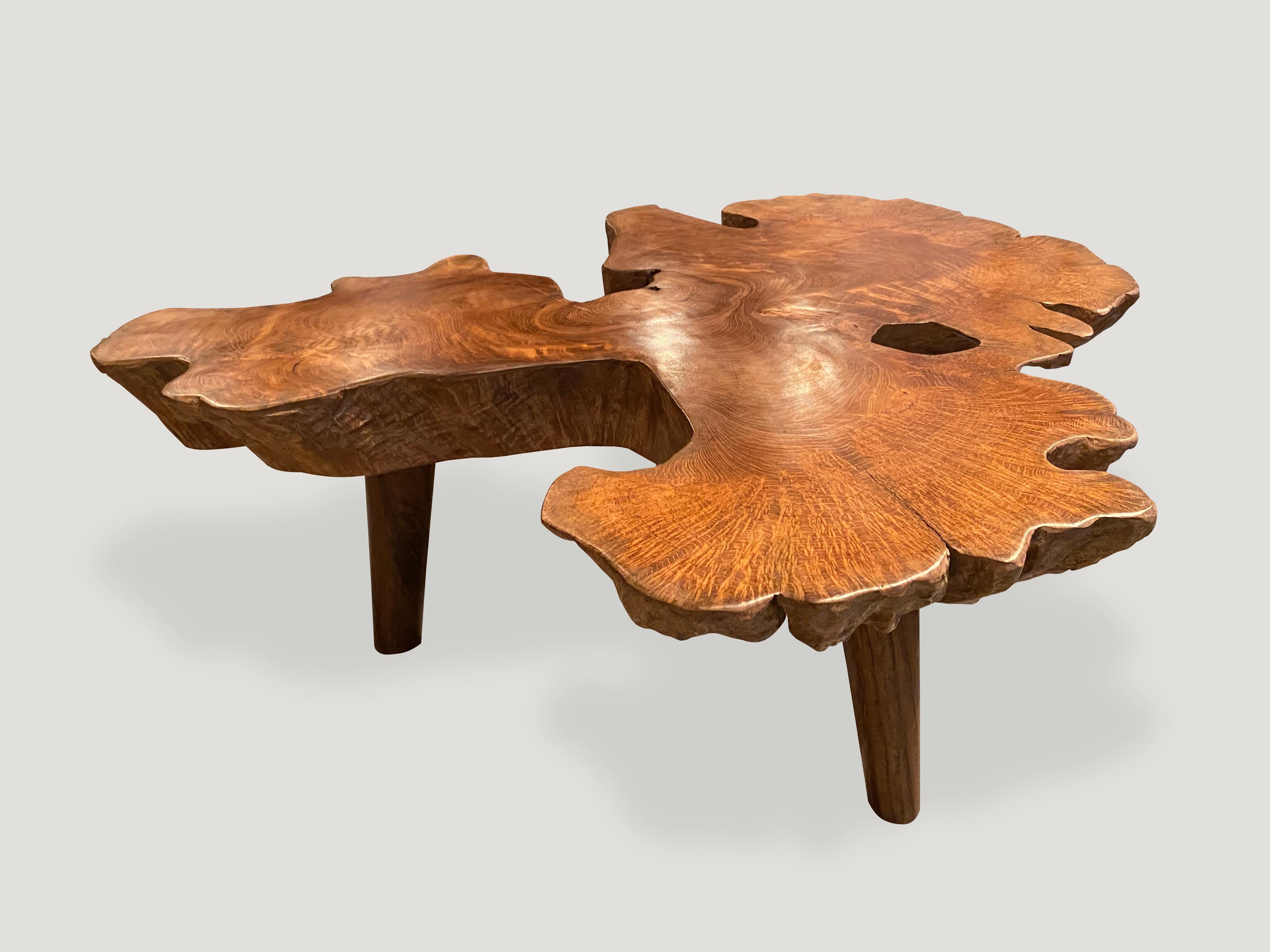 Andrianna Shamaris Live Edge Mid-Century Modern Coffee Table In Excellent Condition For Sale In New York, NY