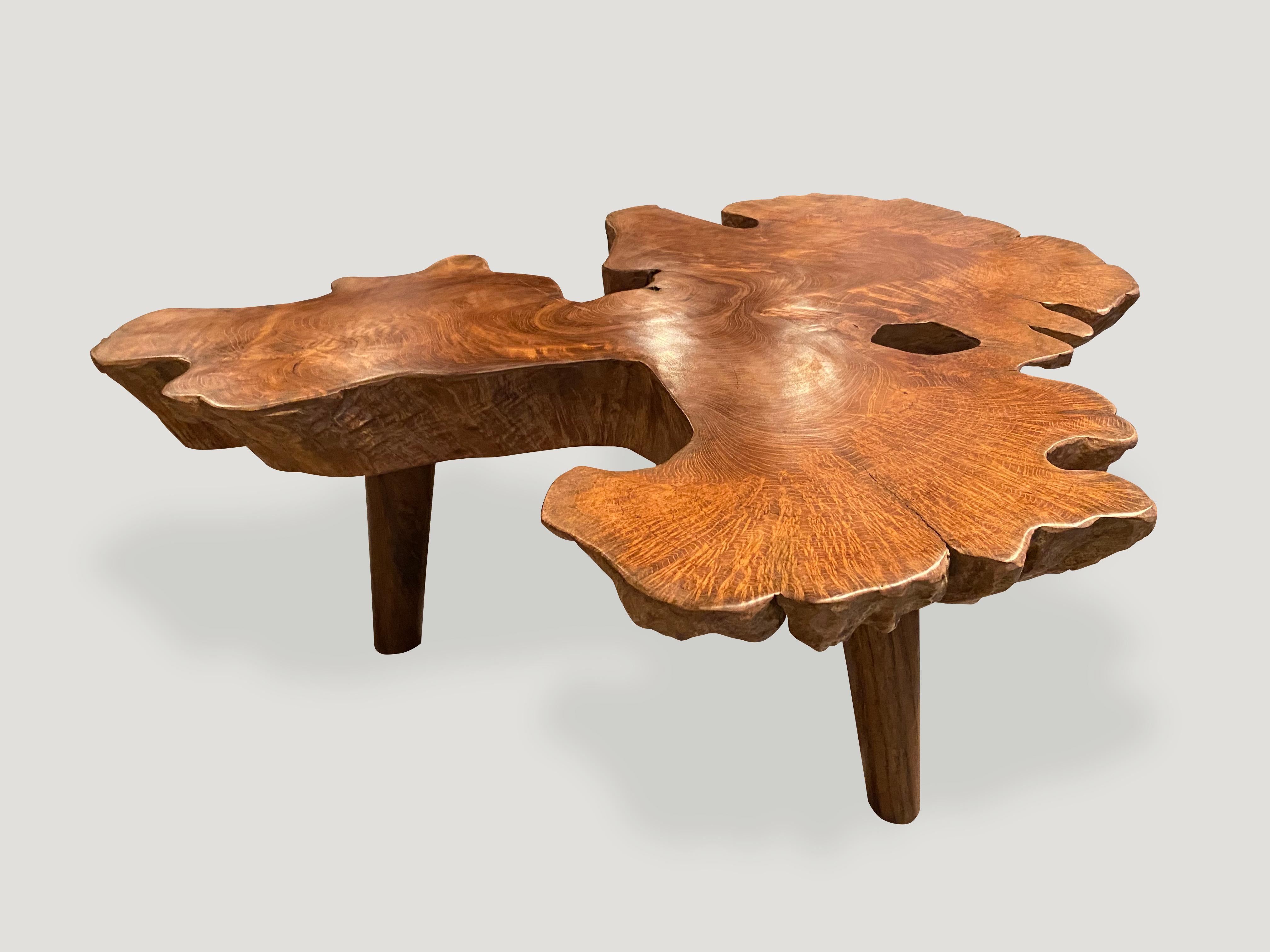 Mid-Century Modern Andrianna Shamaris Live Edge Table basse moderne du milieu du siècle dernier en vente