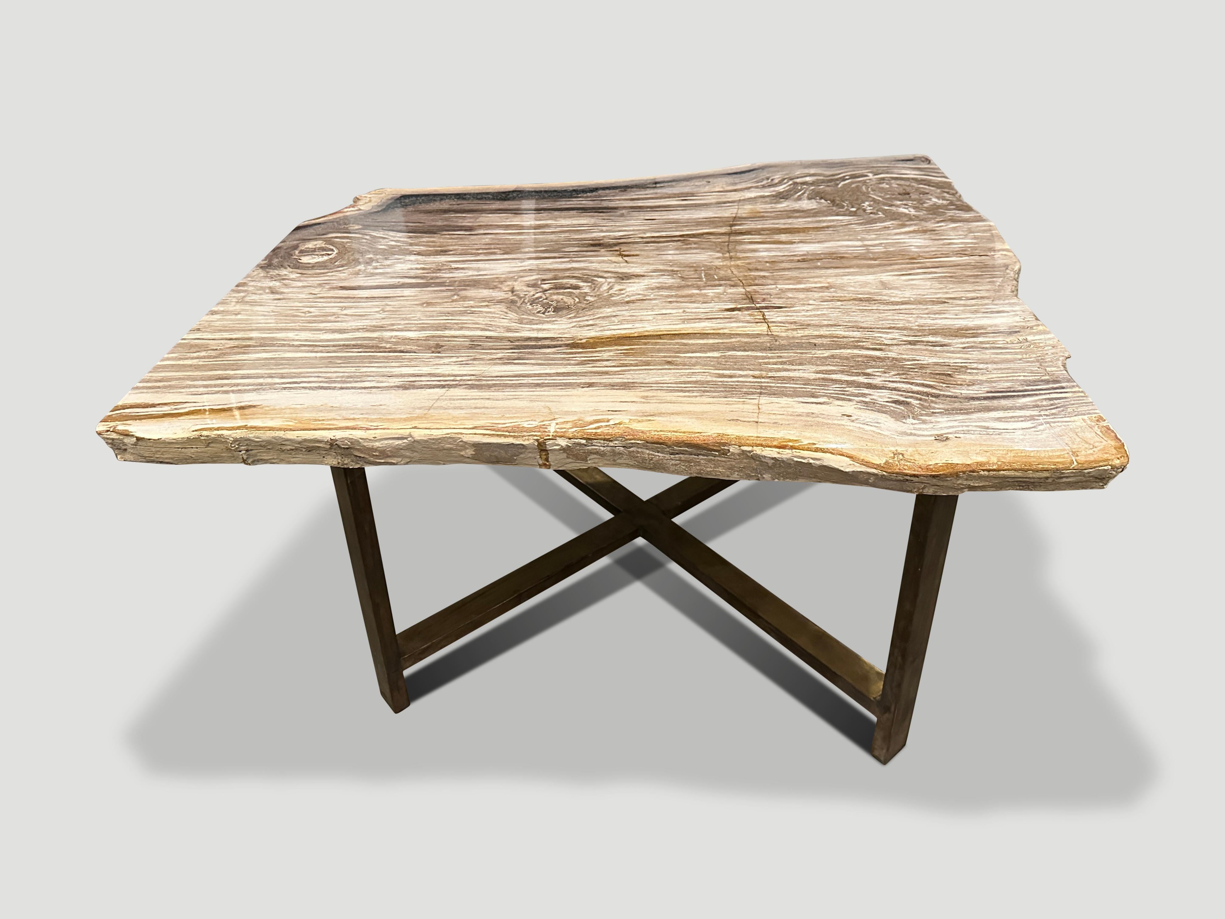 Impressionnante table basse en bois pétrifié, reposant sur une base en bronze. Il est fascinant de voir comment Mère Nature produit ces stupéfiants troncs de teck pétrifiés vieux de 40 millions d'années, aux couleurs si contrastées et aux motifs si
