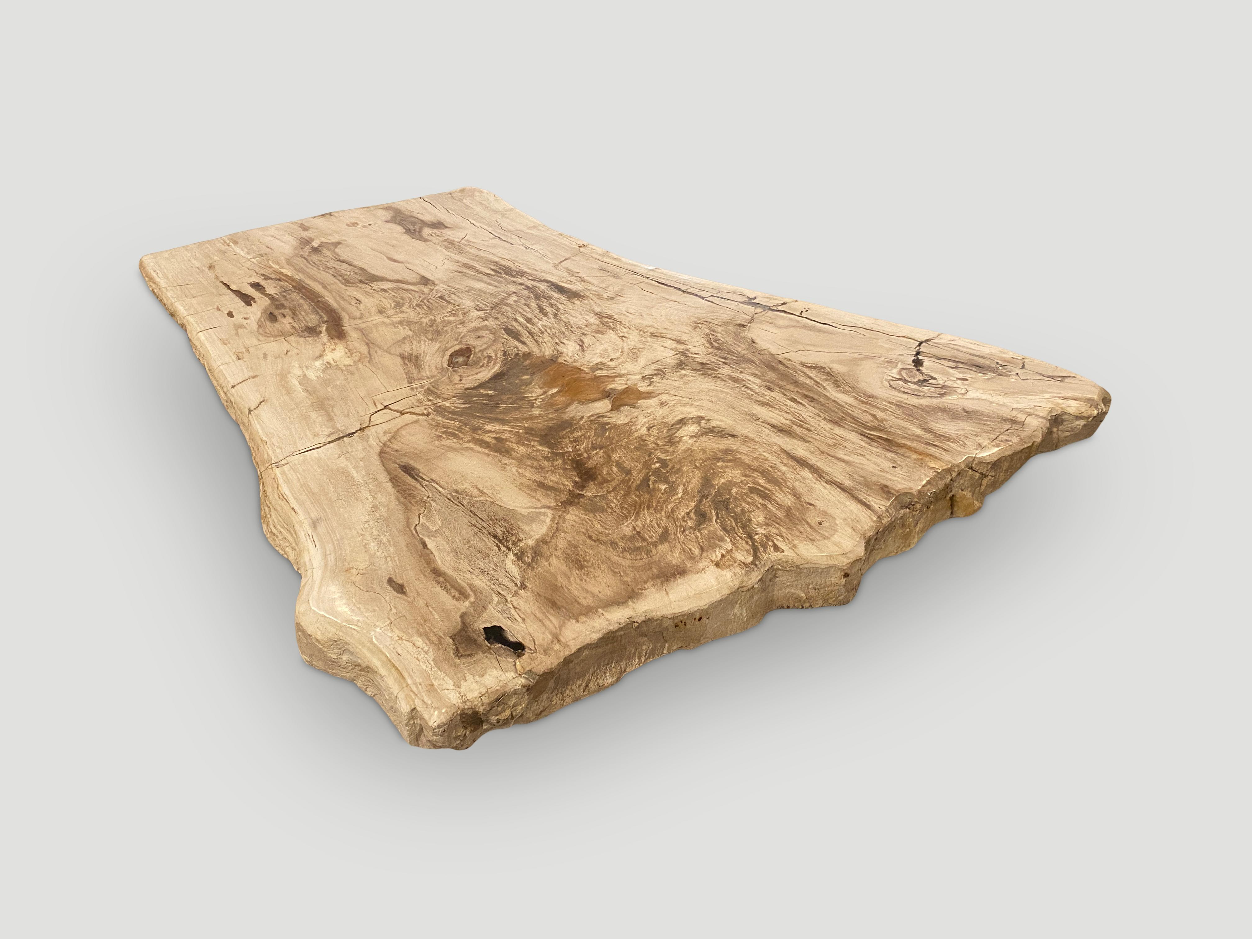 Organic Modern Andrianna Shamaris Live Edge Petrified Wood Coffee Table For Sale
