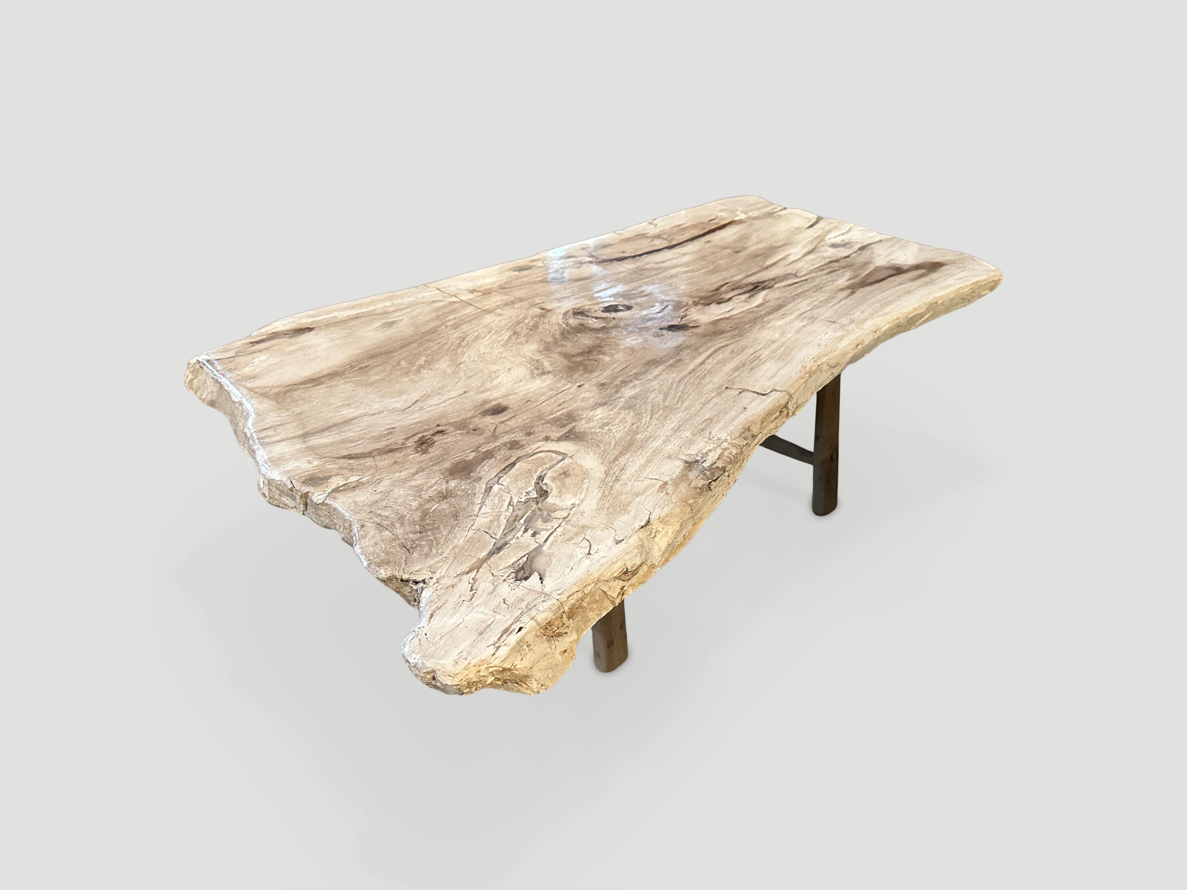 Organic Modern Andrianna Shamaris Live Edge Petrified Wood Coffee Table