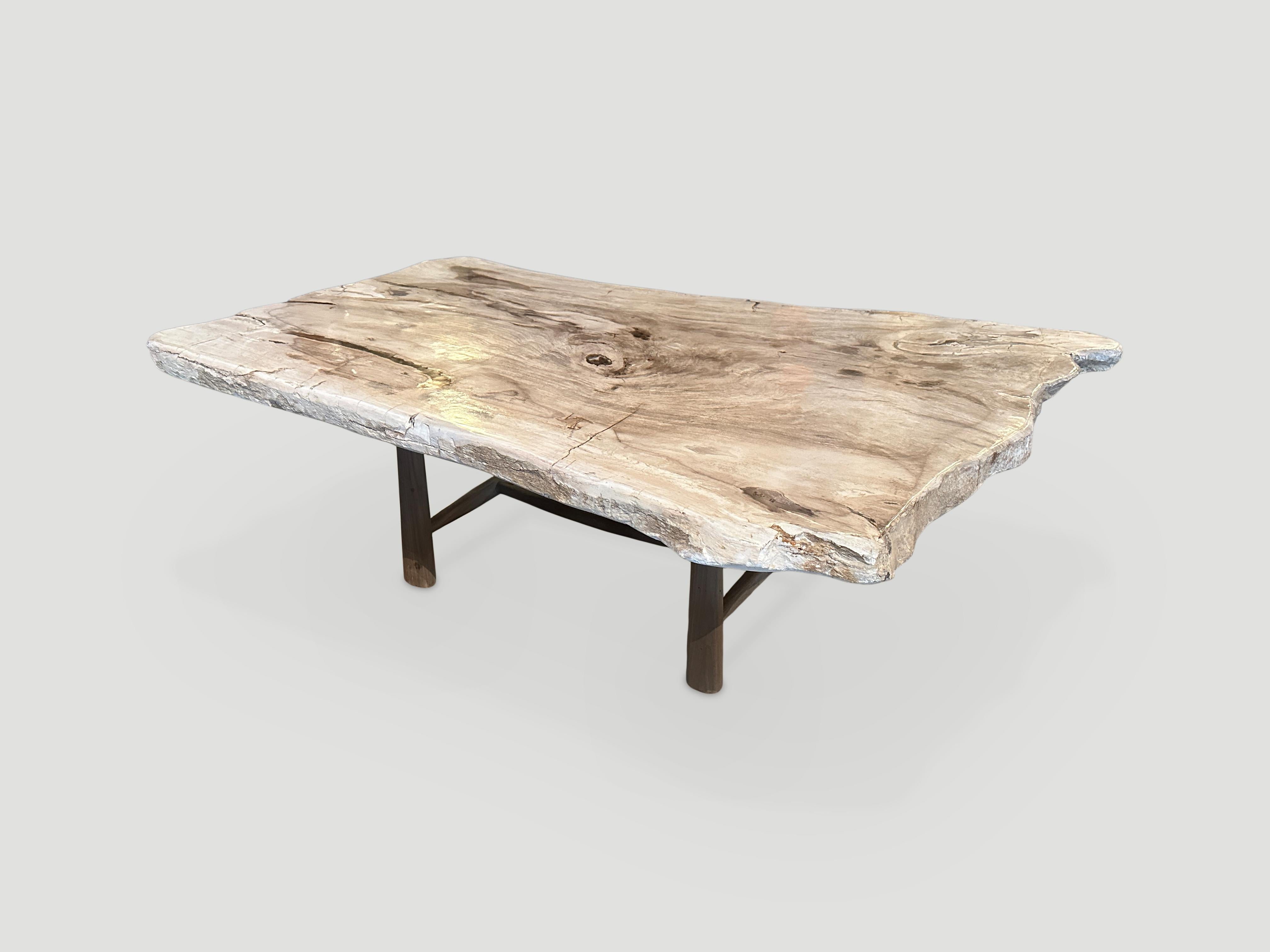 Andrianna Shamaris Live Edge Petrified Wood Coffee Table In Excellent Condition In New York, NY