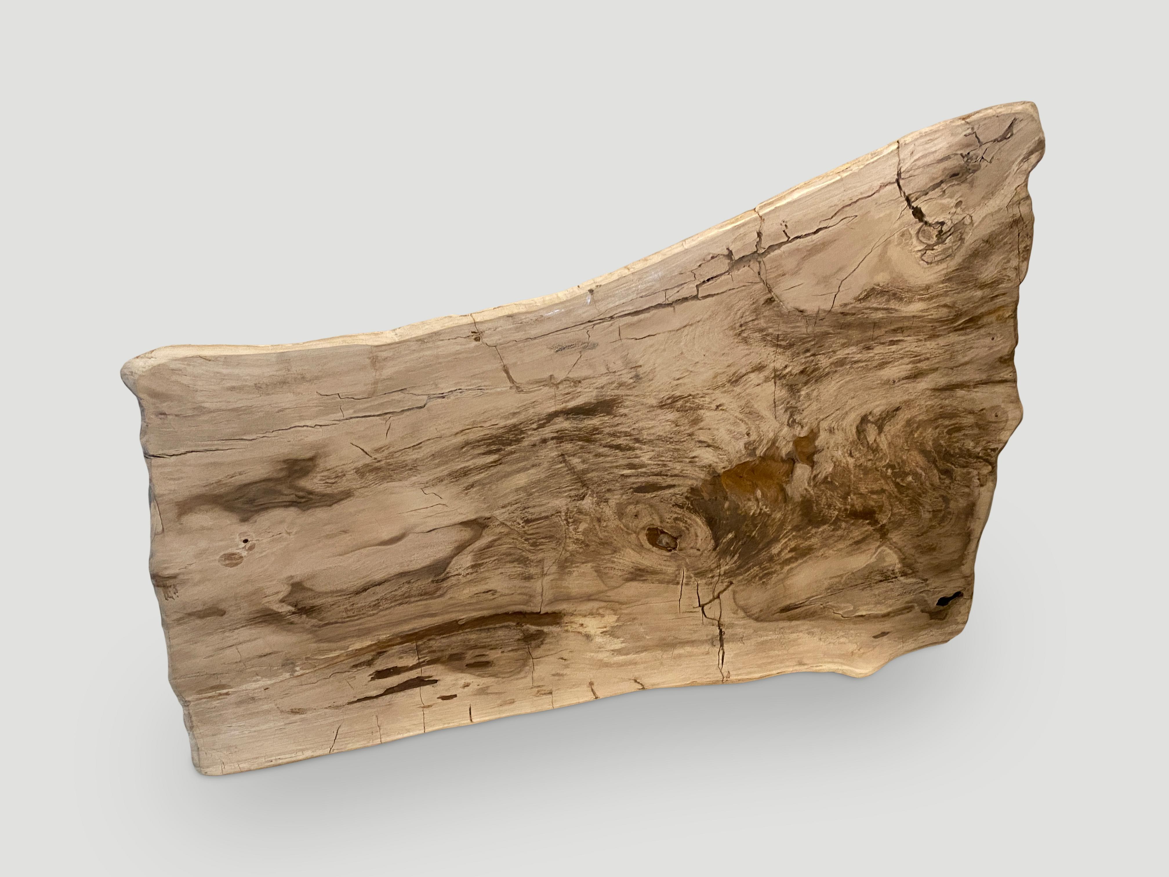 18th Century and Earlier Andrianna Shamaris Live Edge Petrified Wood Coffee Table For Sale