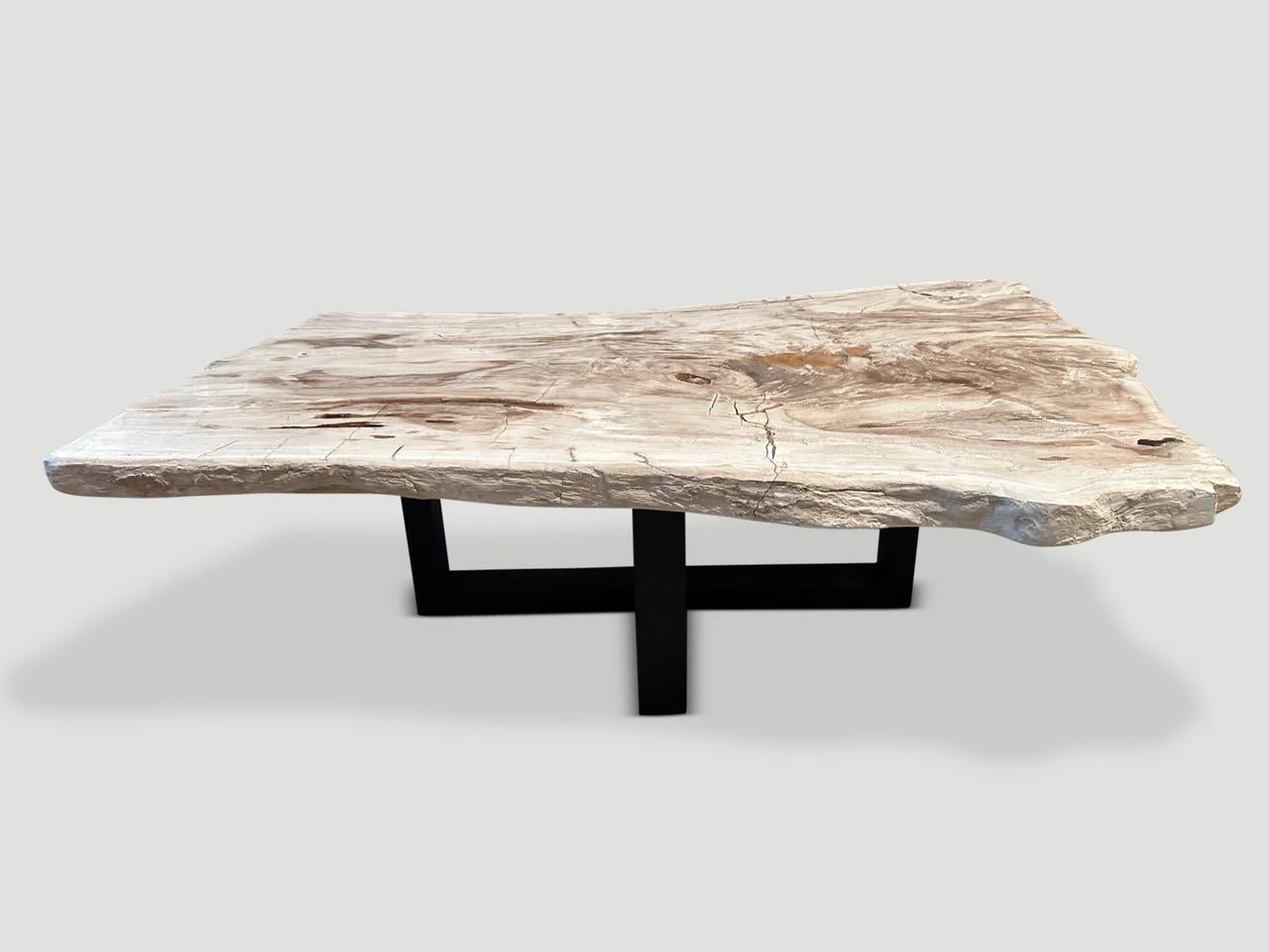 Table basse Andrianna Shamaris en bois pétrifié à bords naturels 2