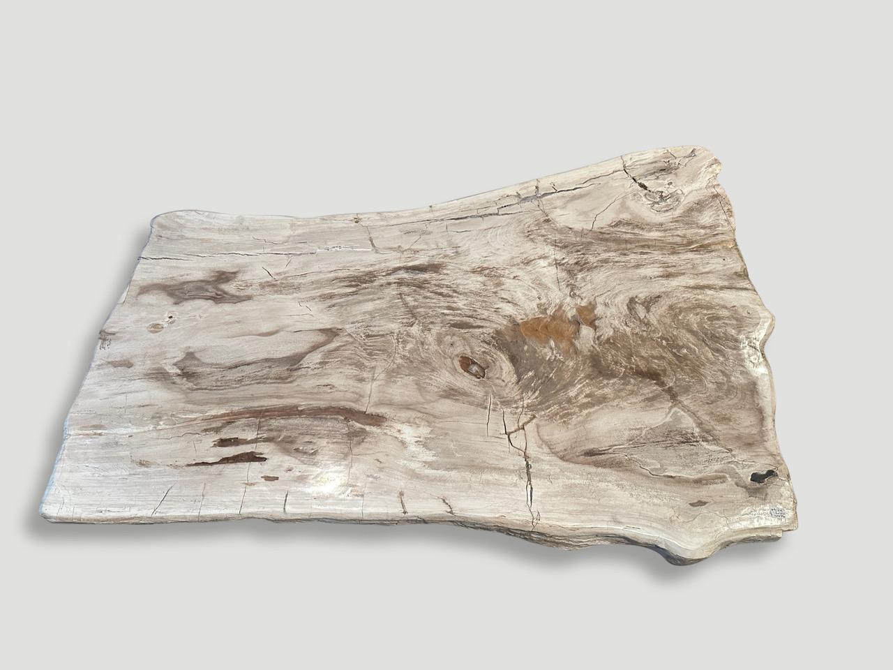 Table basse Andrianna Shamaris en bois pétrifié à bords naturels 3