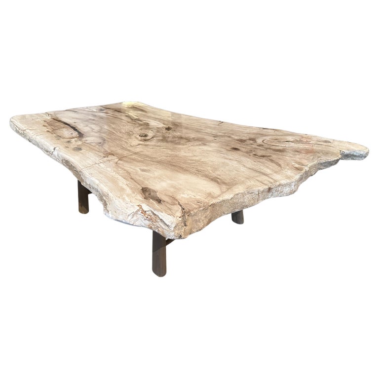 Andrianna Shamaris Live Edge Petrified Wood Coffee Table For Sale at