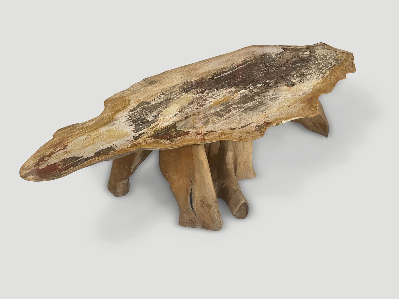 Organique Table basse Andrianna Shamaris Live Edge Petrified Wood avec base en teck organique en vente