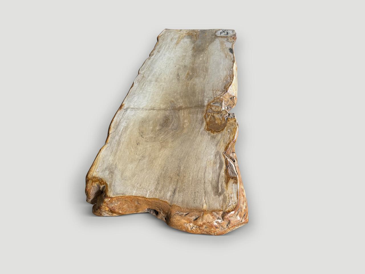Andrianna Shamaris Mesa de centro de madera petrificada de canto vivo con base de teca orgánica Moderno orgánico en venta