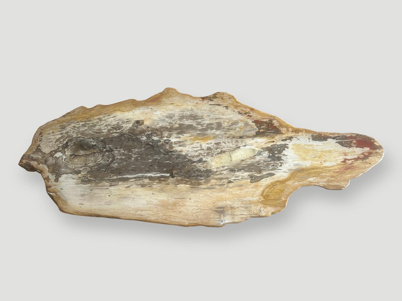 Table basse Andrianna Shamaris Live Edge Petrified Wood avec base en teck organique Excellent état - En vente à New York, NY