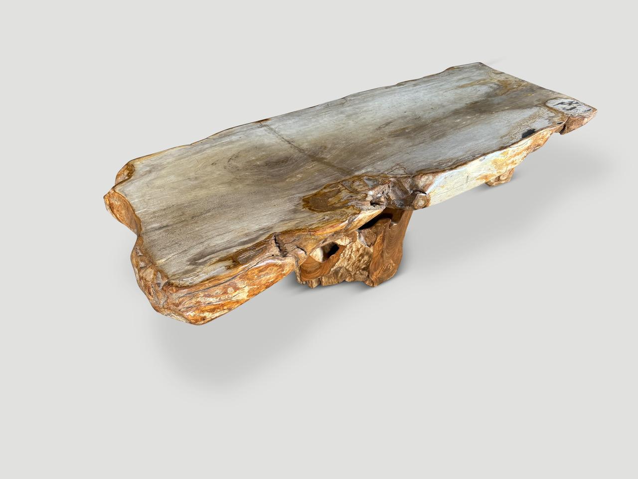 Andrianna Shamaris Mesa de centro de madera petrificada de canto vivo con base de teca orgánica en Excelente estado para la venta en New York, NY