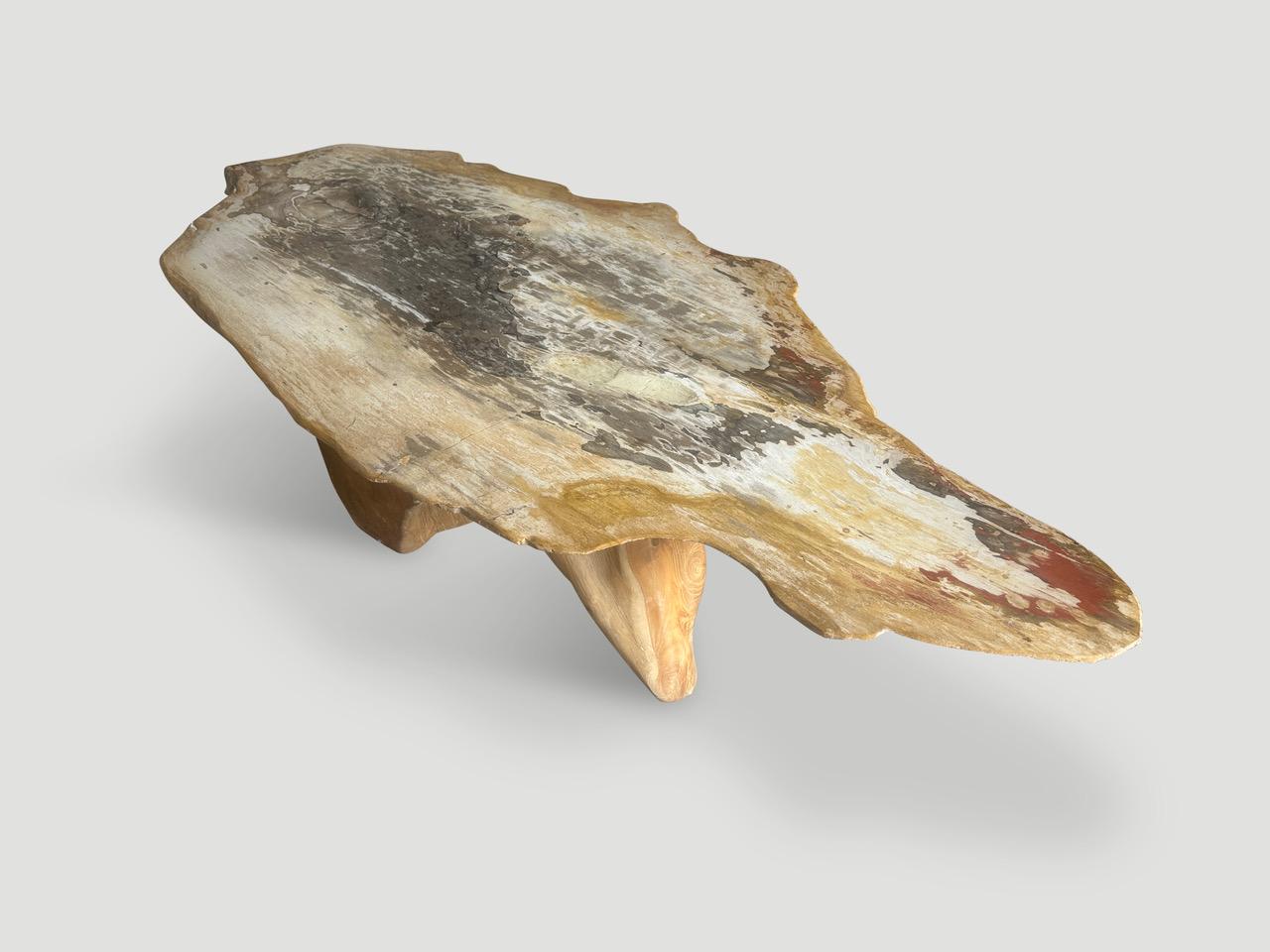 XXIe siècle et contemporain Table basse Andrianna Shamaris Live Edge Petrified Wood avec base en teck organique en vente