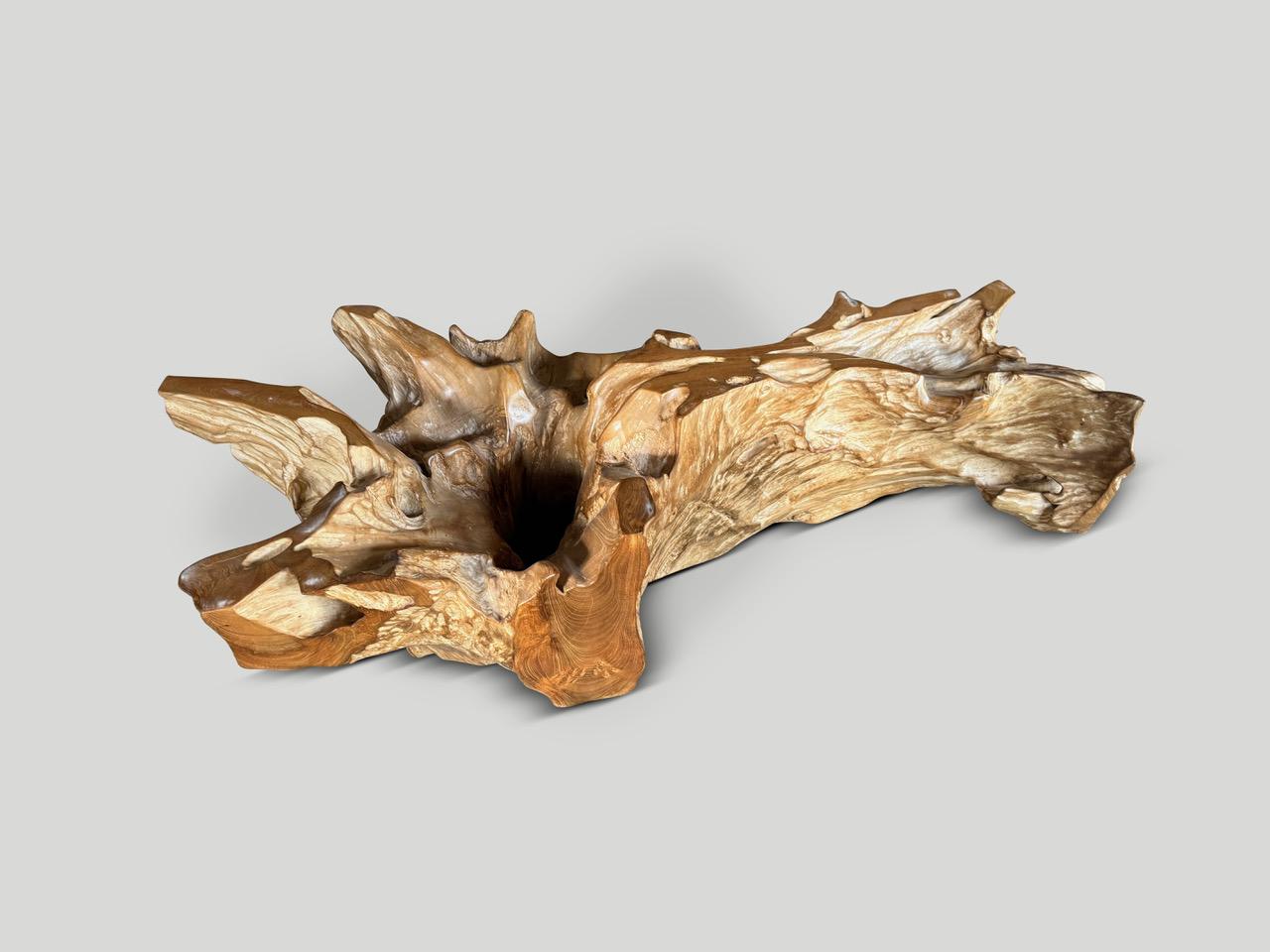 Andrianna Shamaris Mesa de centro de madera petrificada de canto vivo con base de teca orgánica Siglo XXI y contemporáneo en venta