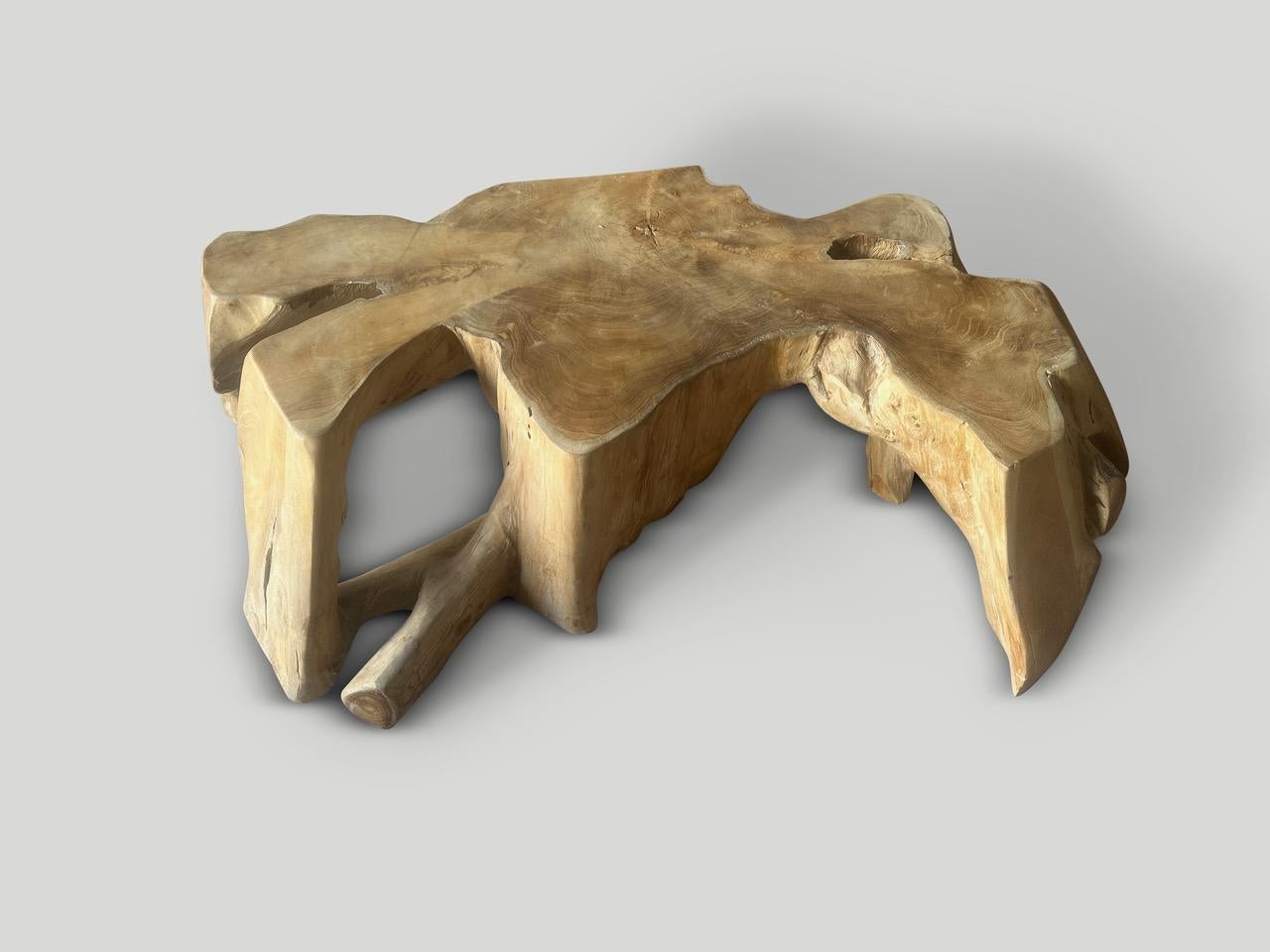 Bois Table basse Andrianna Shamaris Live Edge Petrified Wood avec base en teck organique en vente