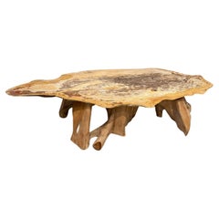 Andrianna Shamaris Couchtisch aus versteinertem Holz mit organischem Teakholzsockel und natürlicher Kante