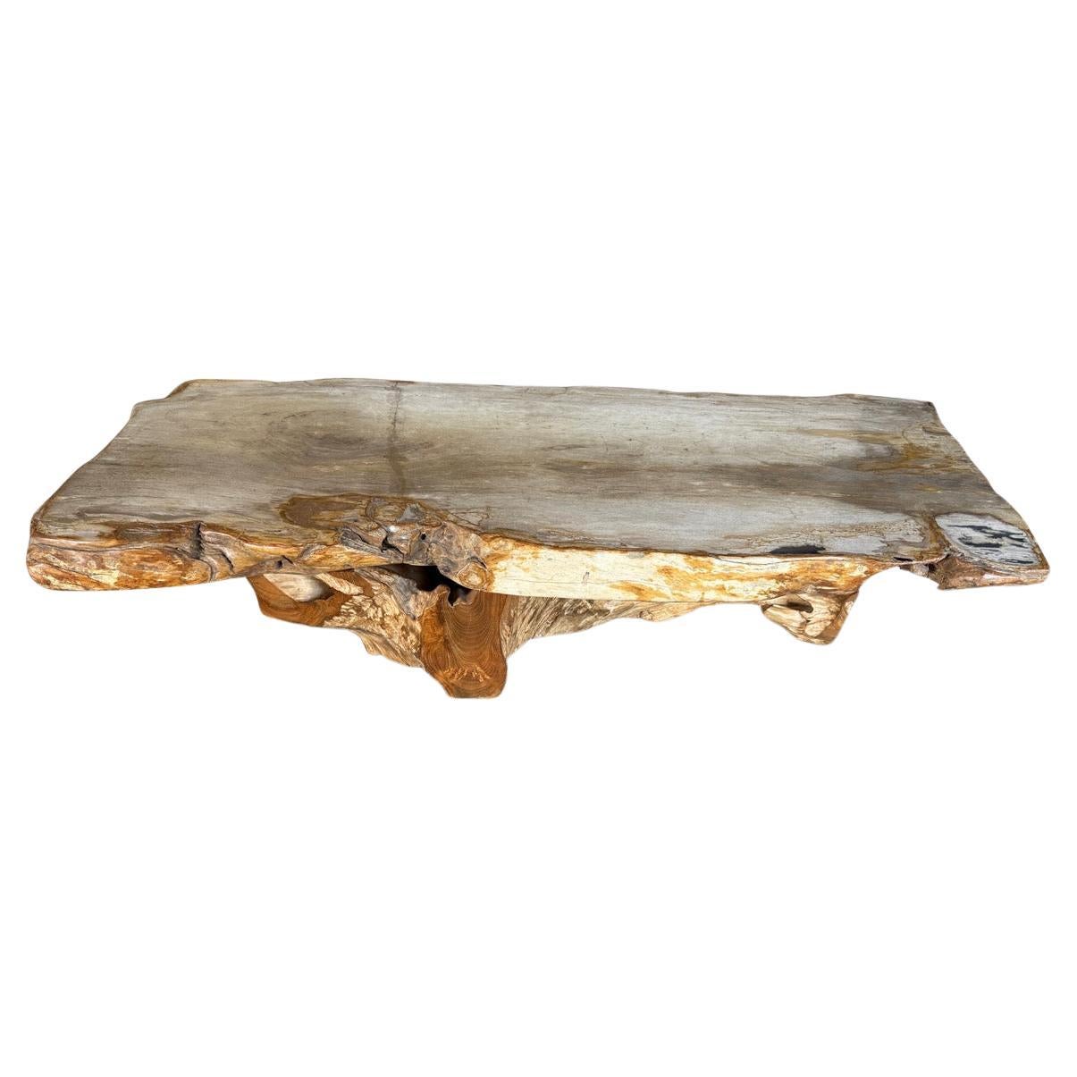 Andrianna Shamaris Live Edge Petrified Wood Coffee Table With Organic Teak Base