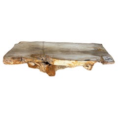 Andrianna Shamaris Live Edge Petrified Wood Coffee Table With Organic Teak Base