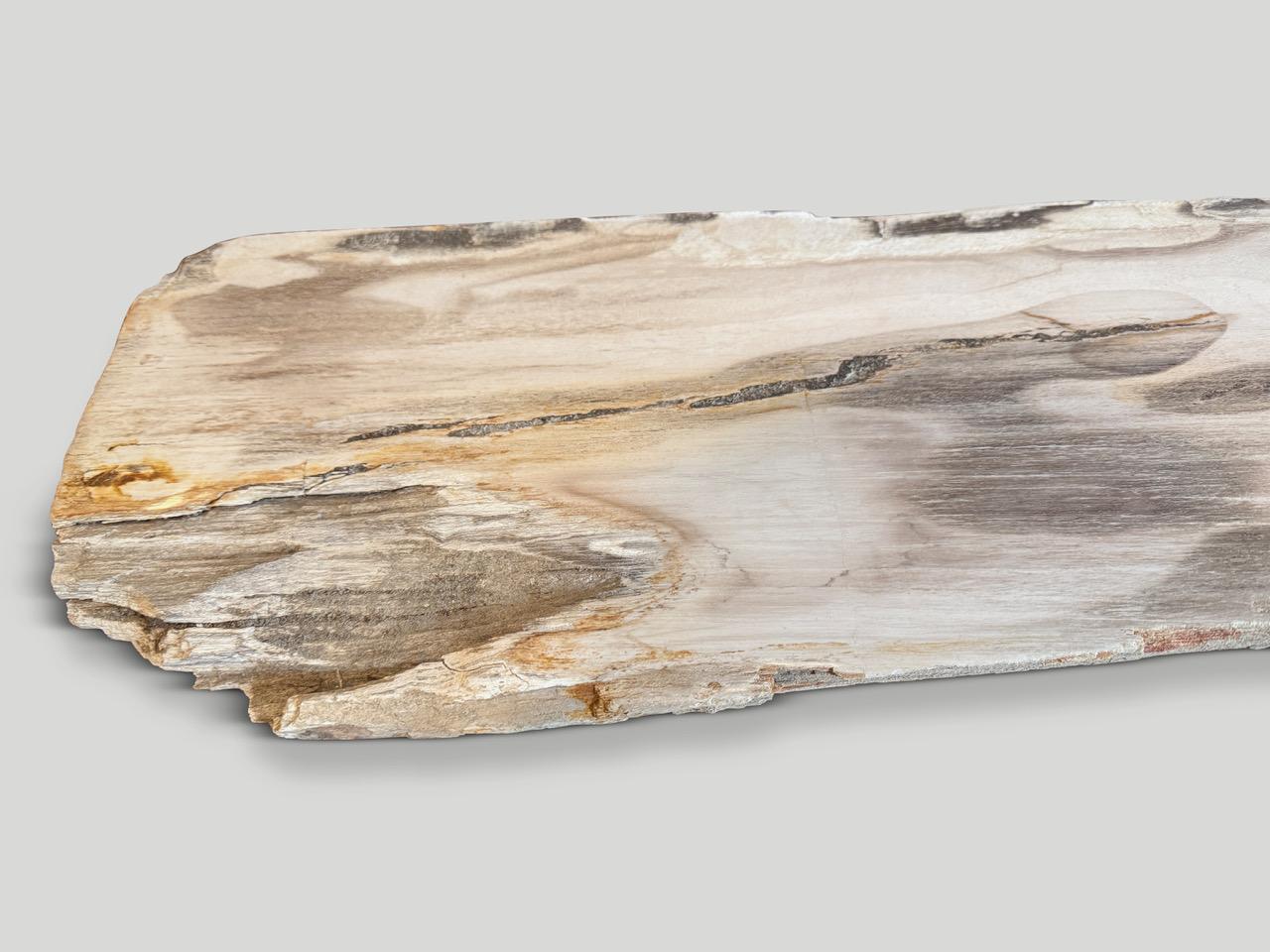 Impressive beautiful tones on this high quality petrified wood console table top or shelf with a live edge. It’s fascinating how Mother Nature produces these stunning 40 million year old petrified teak logs with such contrasting colors and natural