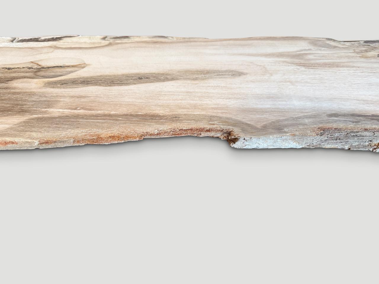 Organic Modern Andrianna Shamaris Live Edge Petrified Wood Console Top or Shelf For Sale