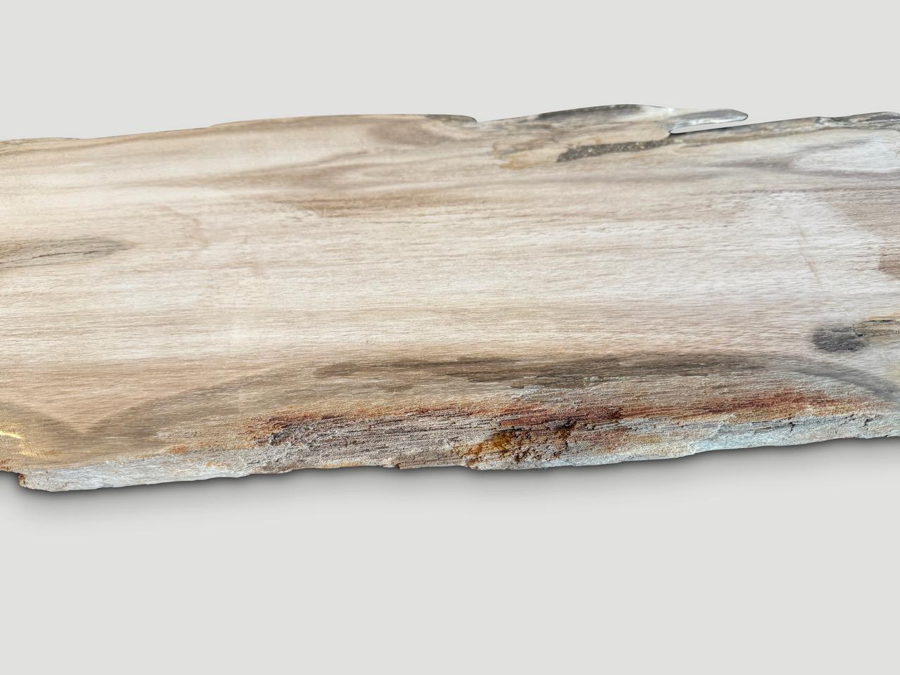 Andrianna Shamaris Live Edge Petrified Wood Console Top or Shelf In Excellent Condition For Sale In New York, NY