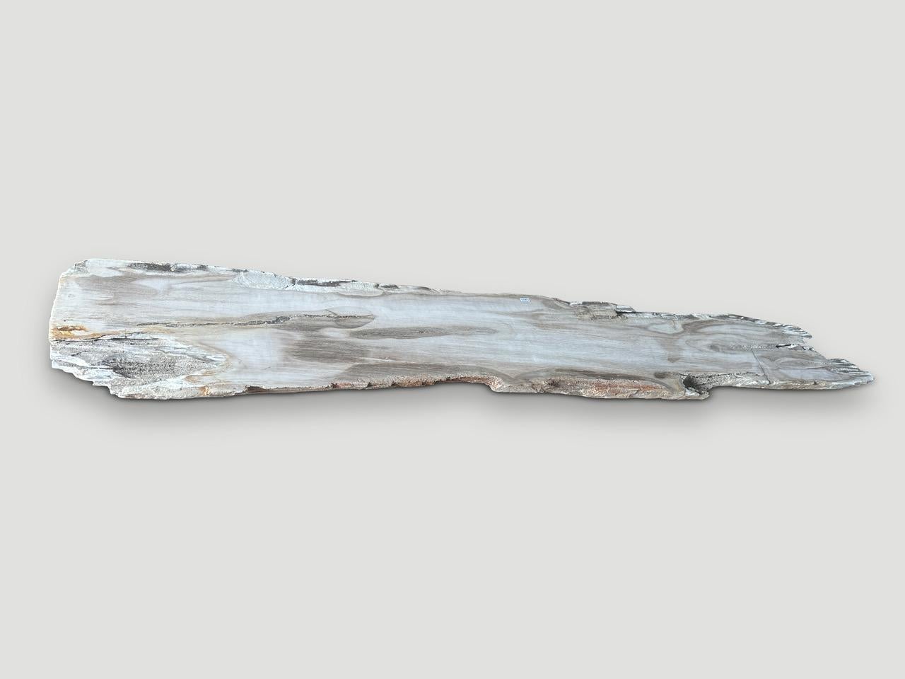 Contemporary Andrianna Shamaris Live Edge Petrified Wood Console Top or Shelf For Sale