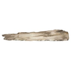 Andrianna Shamaris Live Edge Petrified Wood Console Top or Shelf