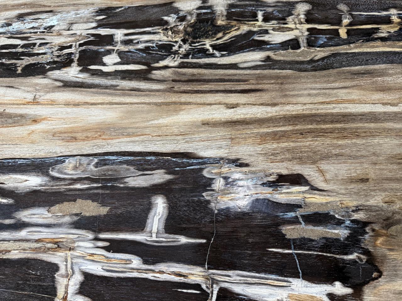 Métal Table de salle à manger Andrianna Shamaris Live Edge en bois pétrifié en vente