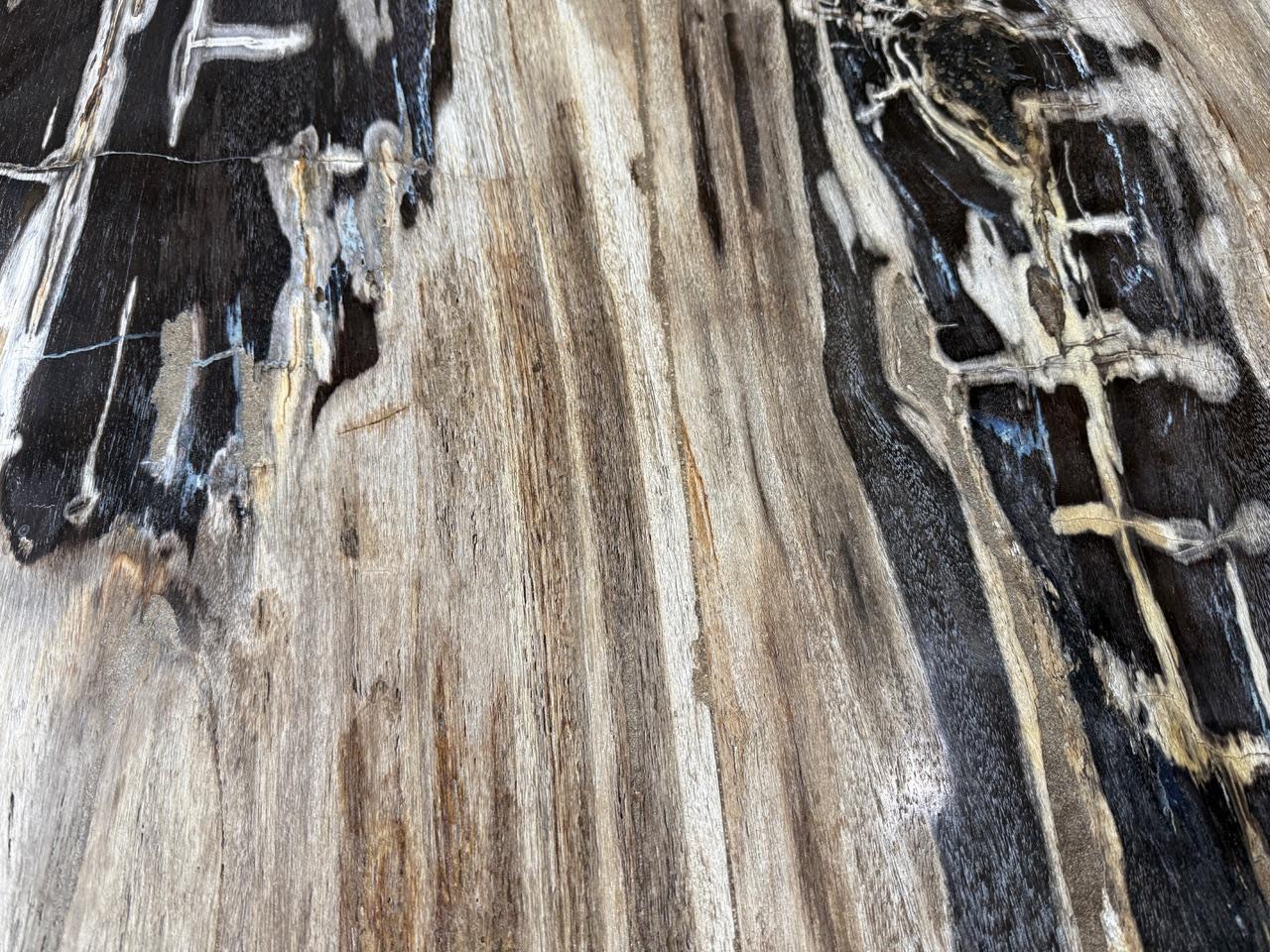 Table de salle à manger Andrianna Shamaris Live Edge en bois pétrifié en vente 1