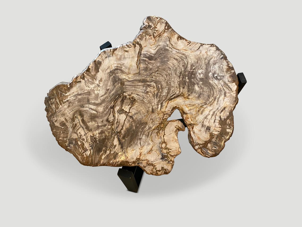 Contemporary Andrianna Shamaris Live Edge Petrified Wood Slab Side Table For Sale