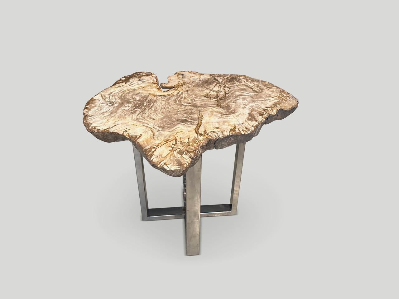 Andrianna Shamaris Live Edge Petrified Wood Slab Side Table For Sale 1