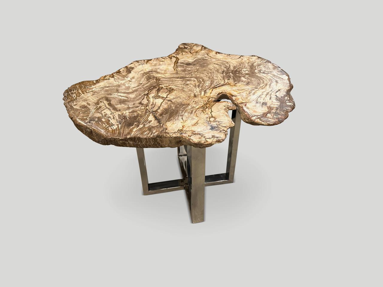 Andrianna Shamaris Live Edge Petrified Wood Slab Side Table For Sale 2