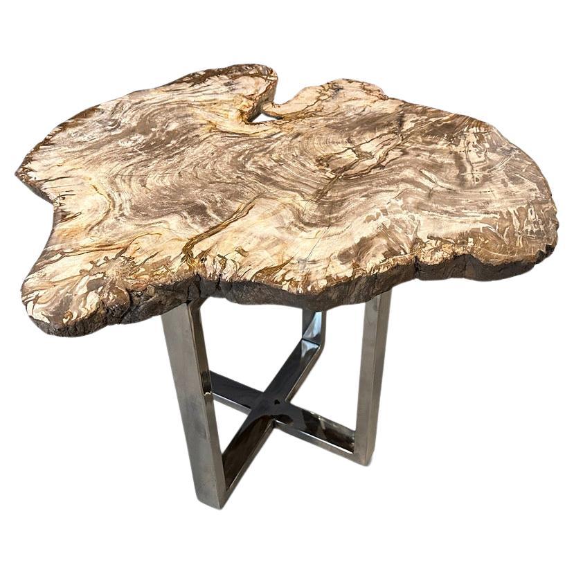 Andrianna Shamaris Live Edge Petrified Wood Slab Side Table For Sale