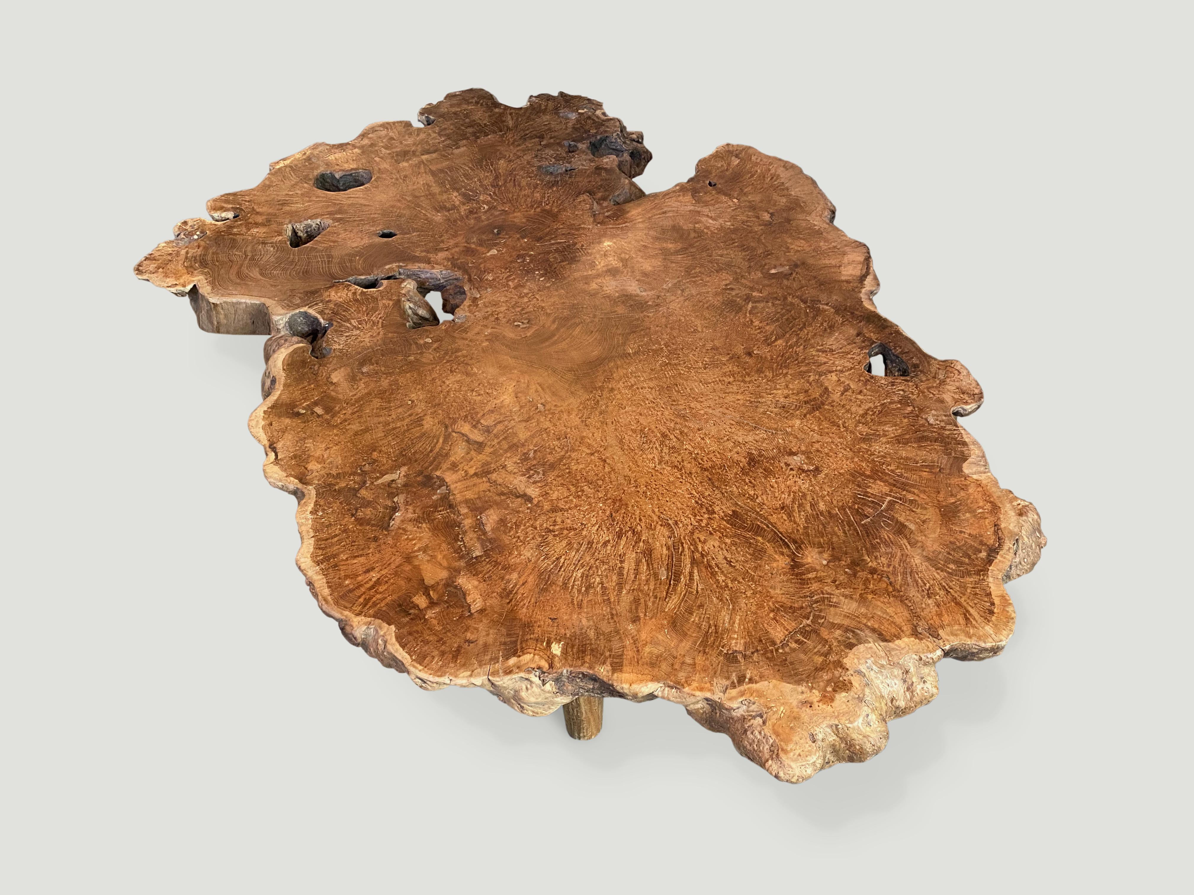 Impressive reclaimed three inch thick teak coffee table from the root of a tree.  A blend of organic and mid century. We polished the wood to enhance the grain with a natural oil finish. Floating on mid century style legs.

Own an Andrianna Shamaris
