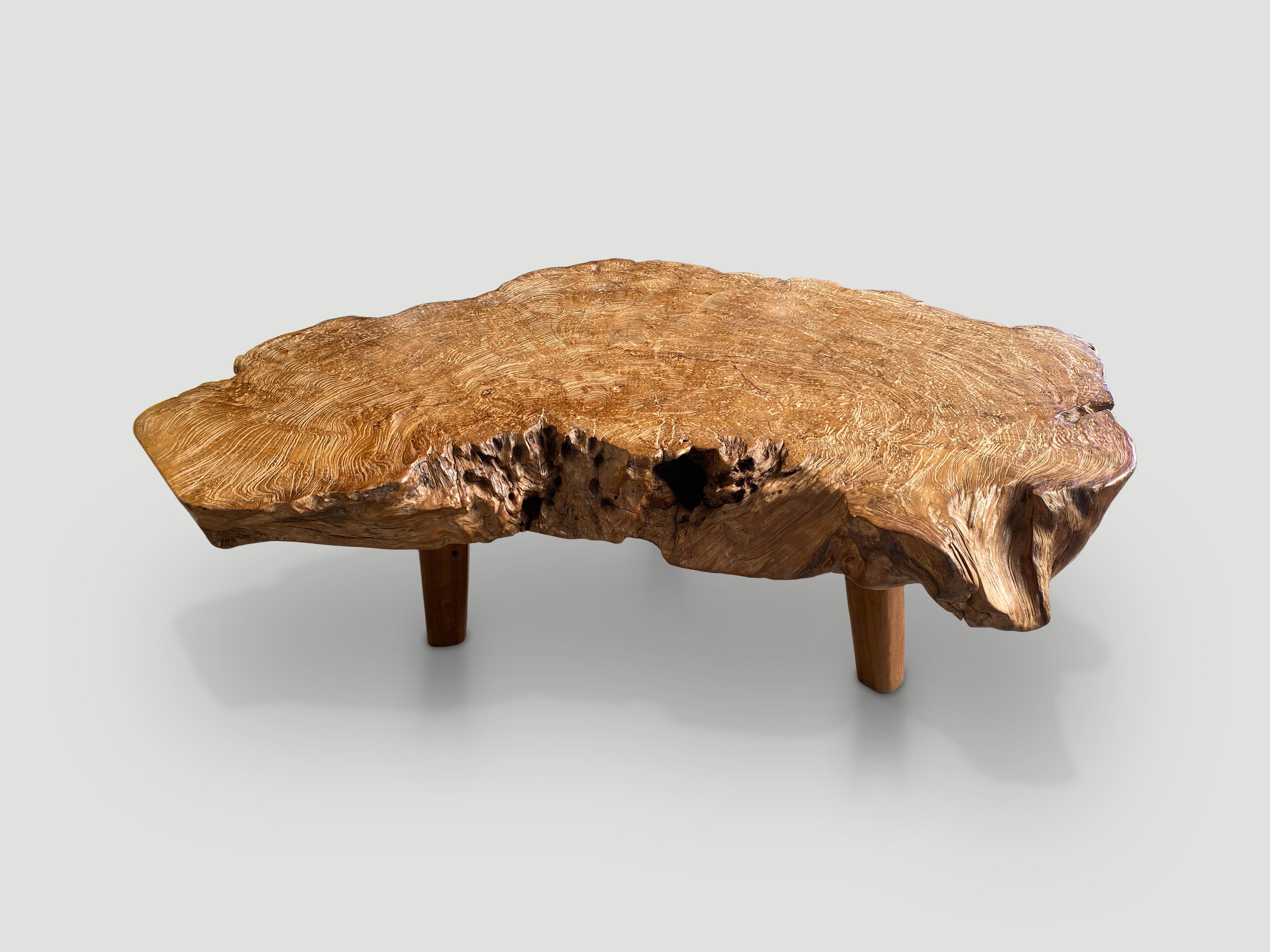 Impressive reclaimed four inch thick rare teak root coffee table. This wood is the hardest to source. A blend of organic and mid century. Finished with a natural oil to reveal the beautiful wood grain. Floating on mid century style legs.

Own an