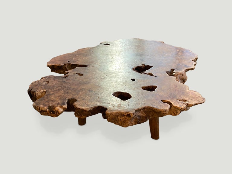 Andrianna Shamaris Live Edge Single Root Teak Wood Coffee Table In Excellent Condition For Sale In New York, NY